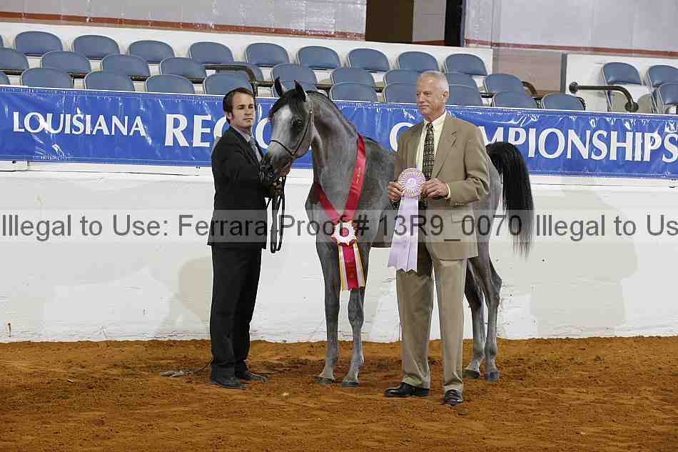 Proof 13r9_0070