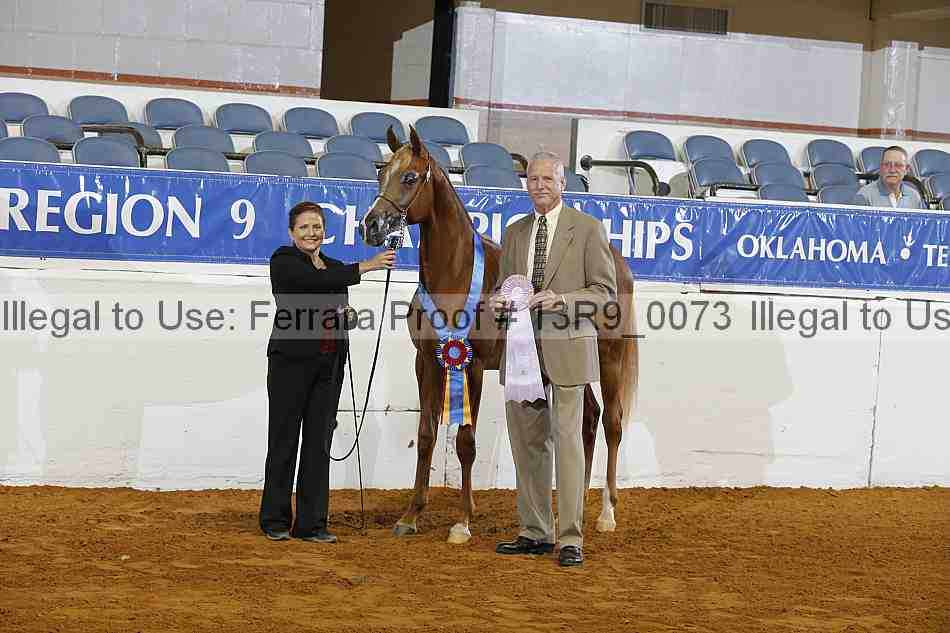Proof 13r9_0073