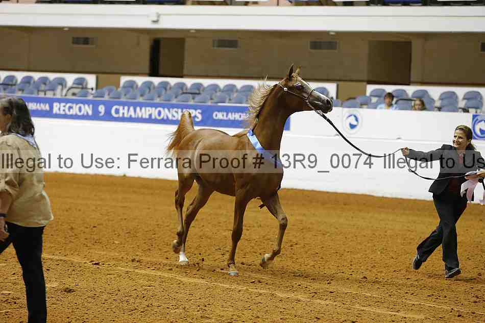 Proof 13r9_0074