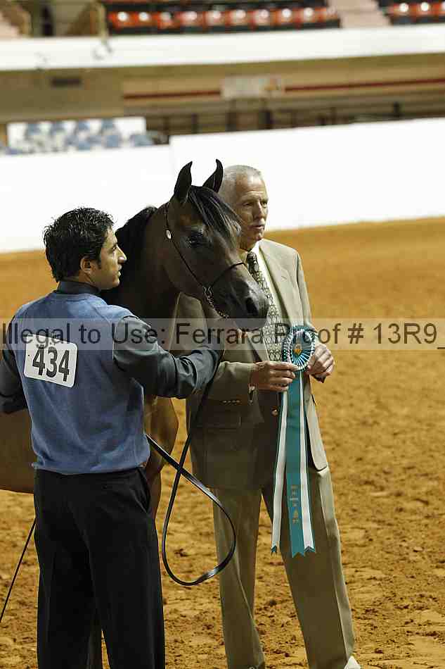 Proof 13r9_0035