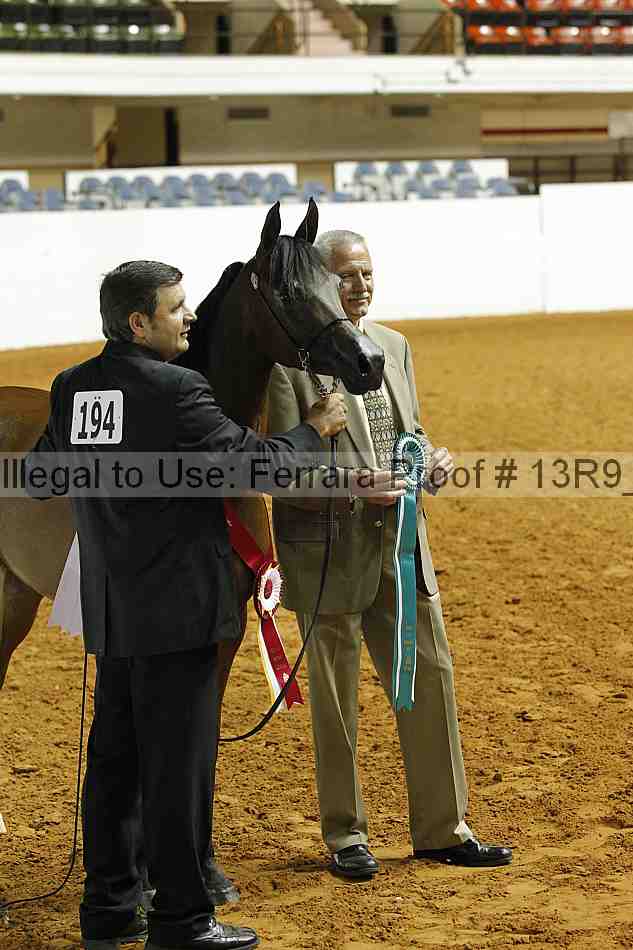 Proof 13r9_0038