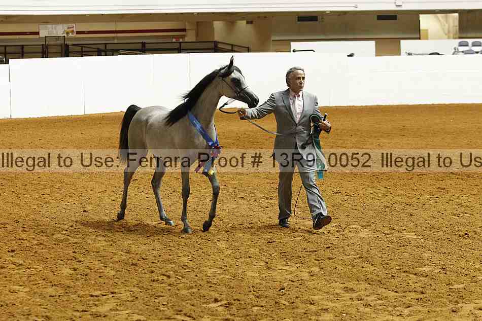 Proof 13r9_0052