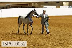 13r9_0052 proof