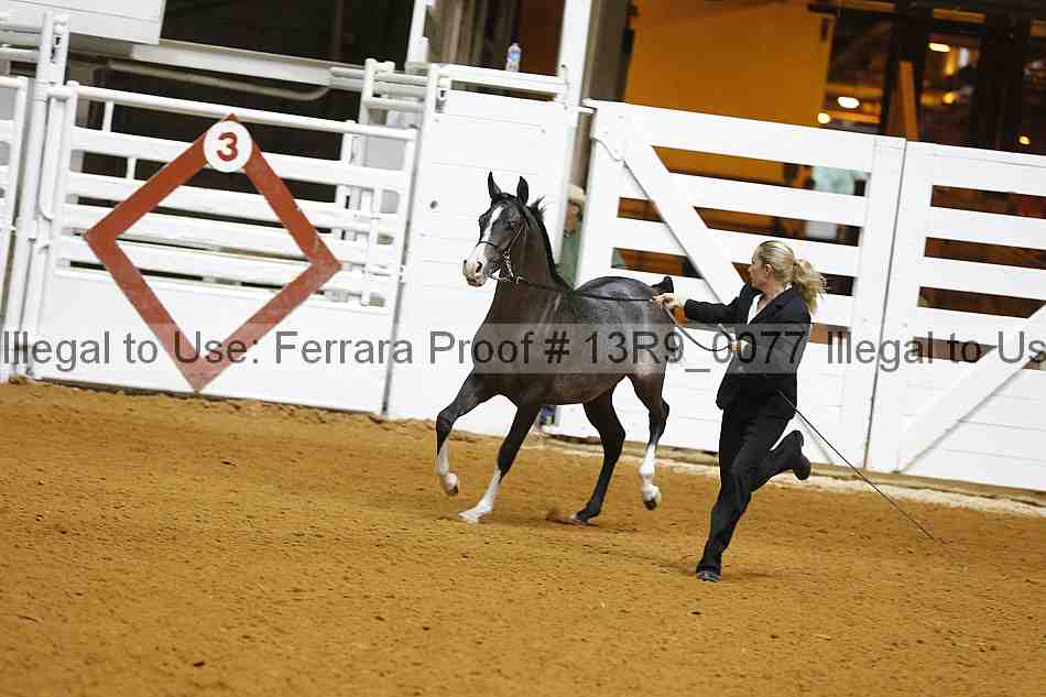 Proof 13r9_0077