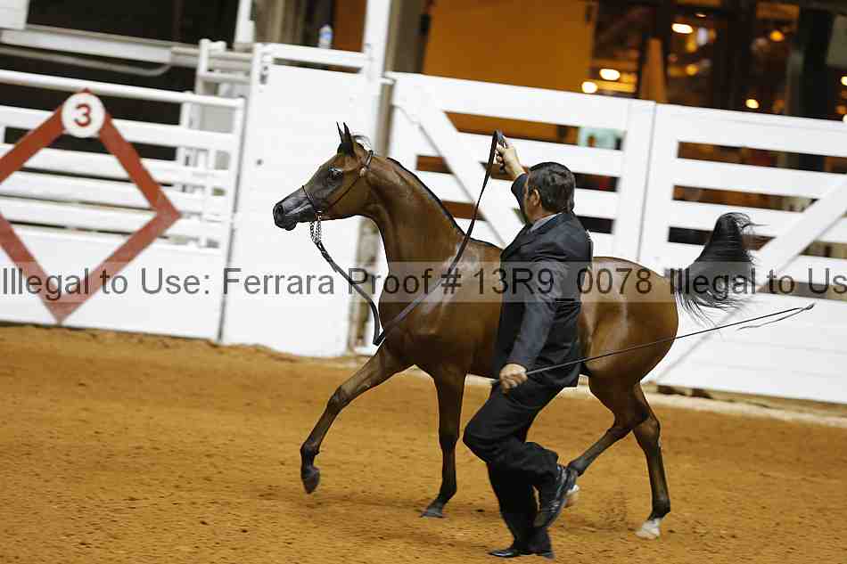 Proof 13r9_0078
