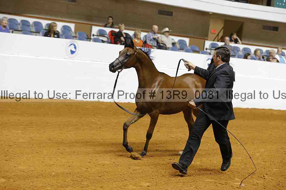 Proof 13r9_0081