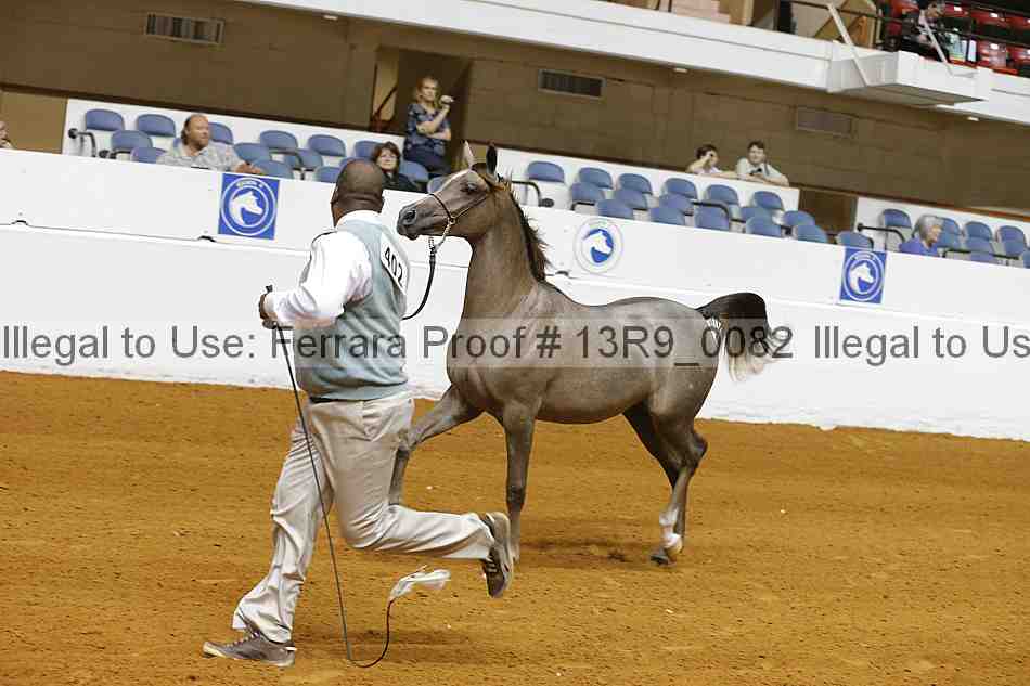 Proof 13r9_0082