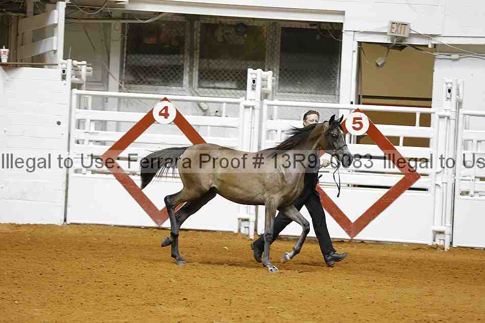 Proof 13r9_0083