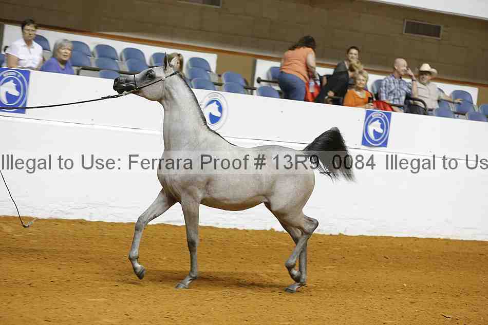 Proof 13r9_0084