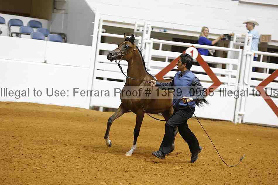 Proof 13r9_0085