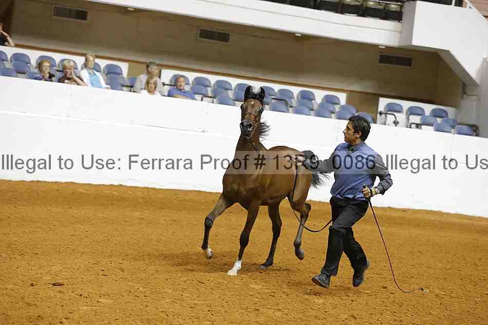 Proof 13r9_0086