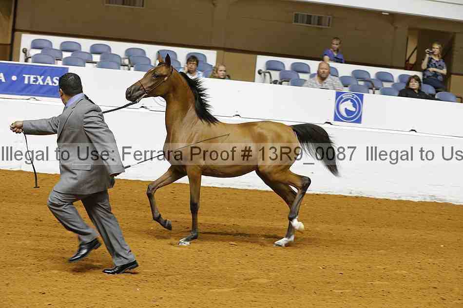 Proof 13r9_0087