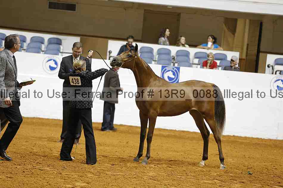 Proof 13r9_0088