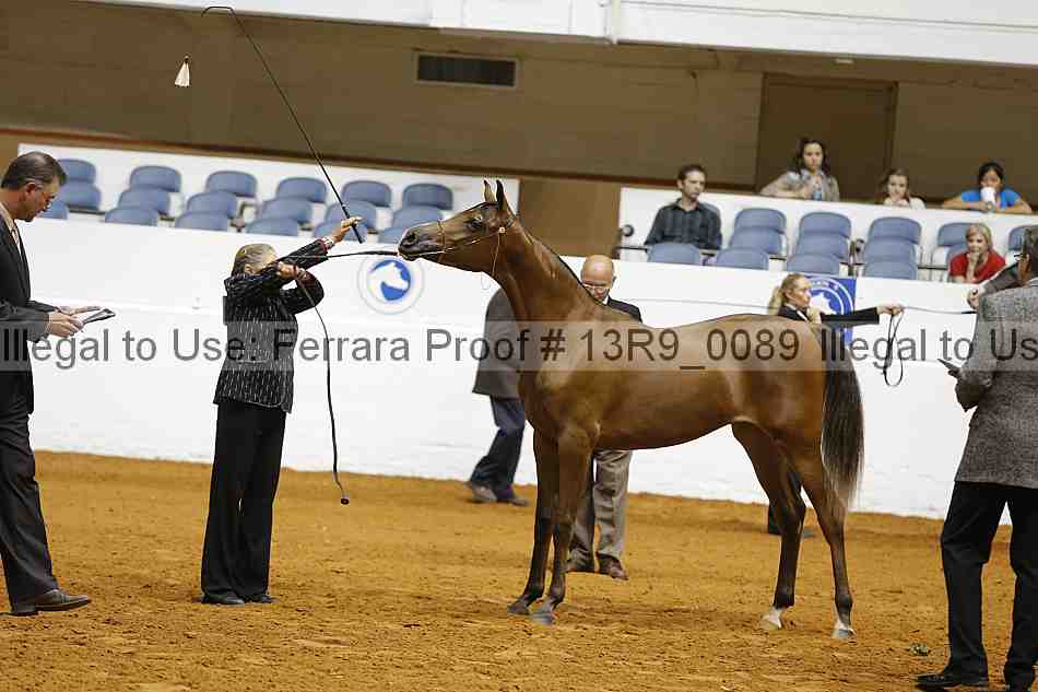 Proof 13r9_0089