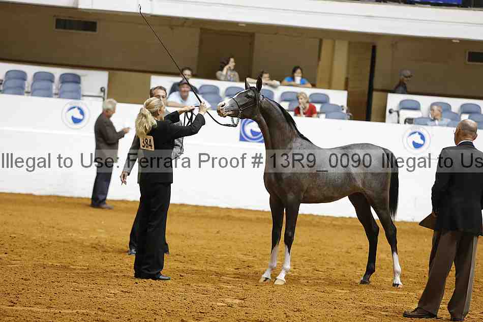 Proof 13r9_0090