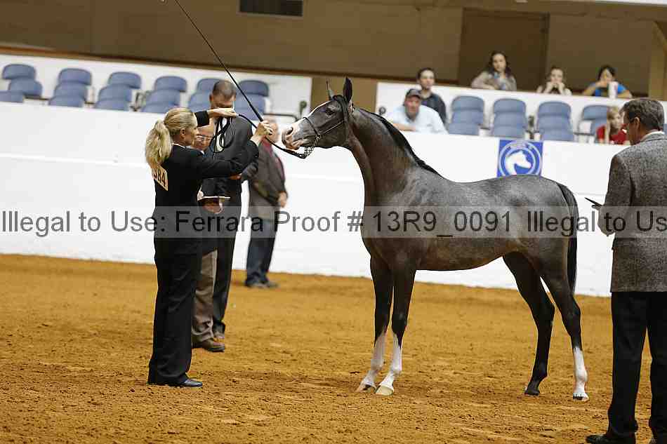 Proof 13r9_0091