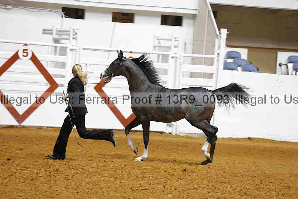 Proof 13r9_0093