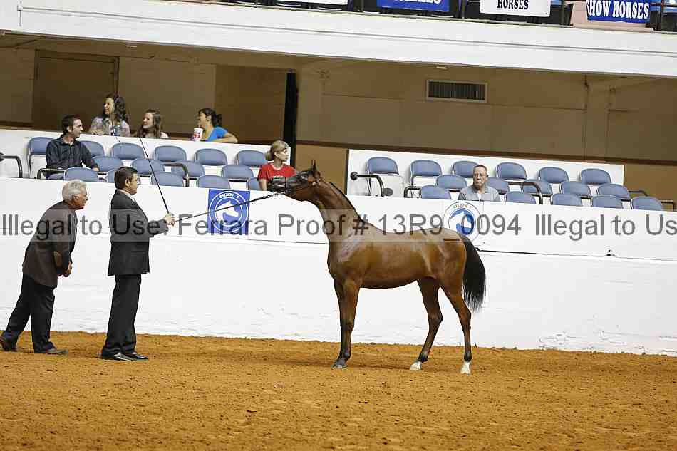 Proof 13r9_0094