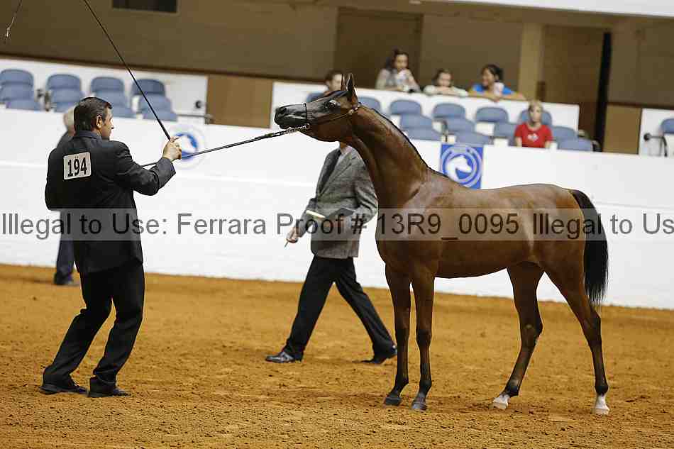 Proof 13r9_0095
