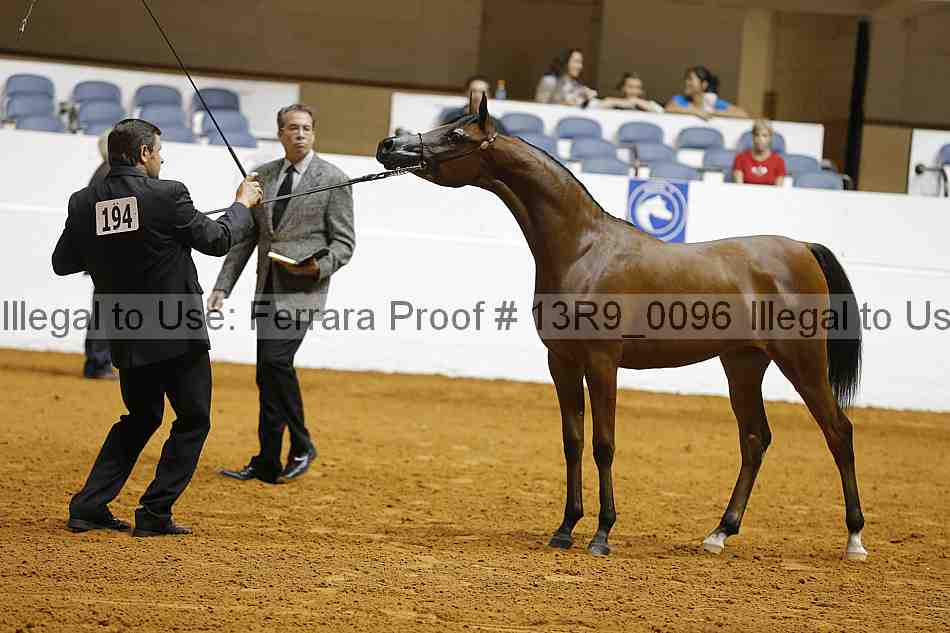 Proof 13r9_0096