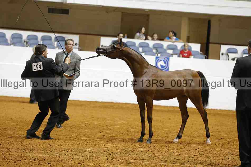 Proof 13r9_0097