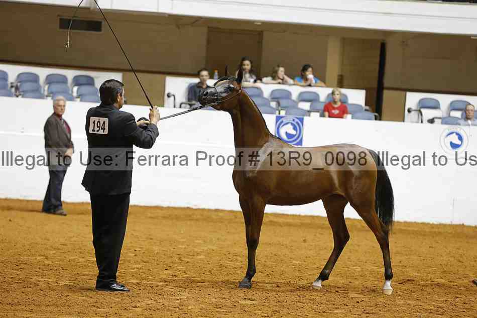 Proof 13r9_0098