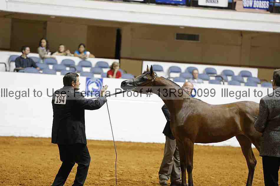 Proof 13r9_0099