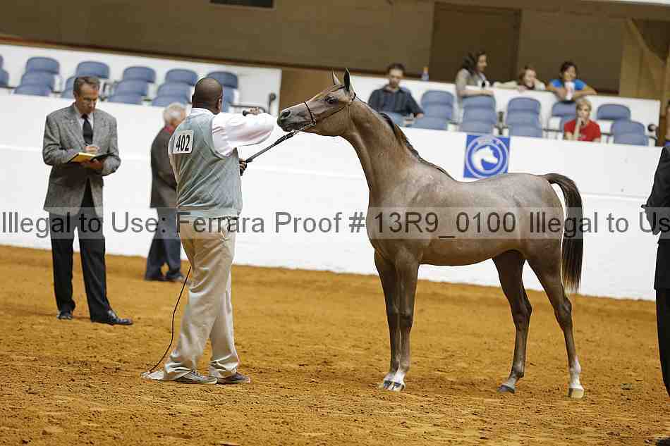 Proof 13r9_0100