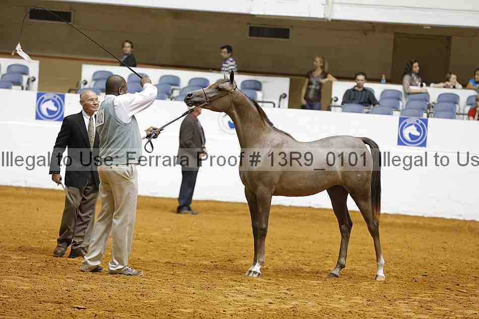 Proof 13r9_0101