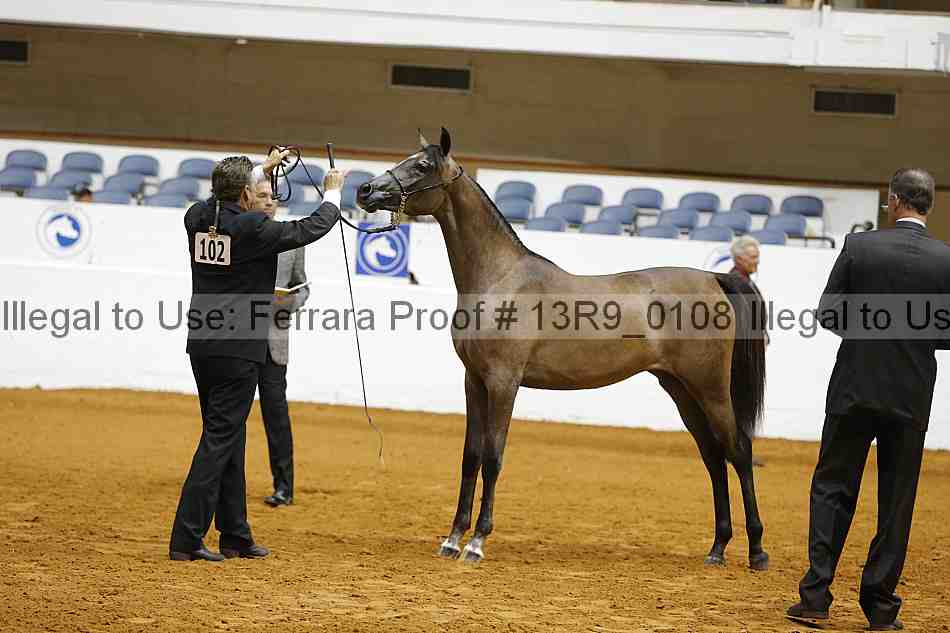 Proof 13r9_0108