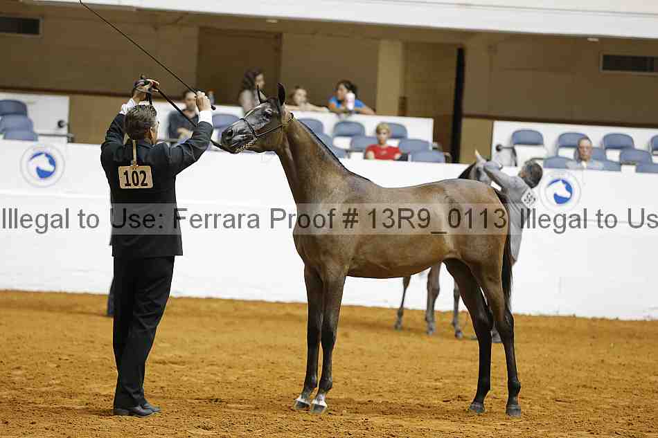 Proof 13r9_0113