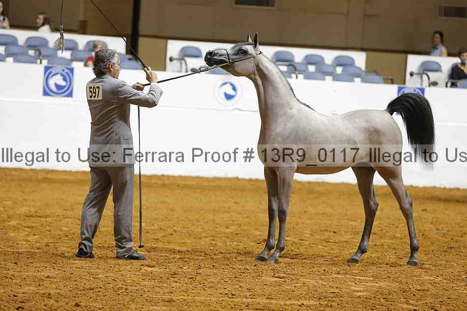 Proof 13r9_0117