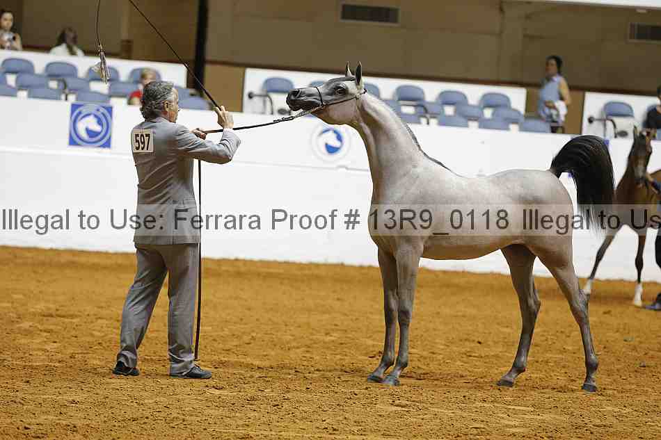 Proof 13r9_0118