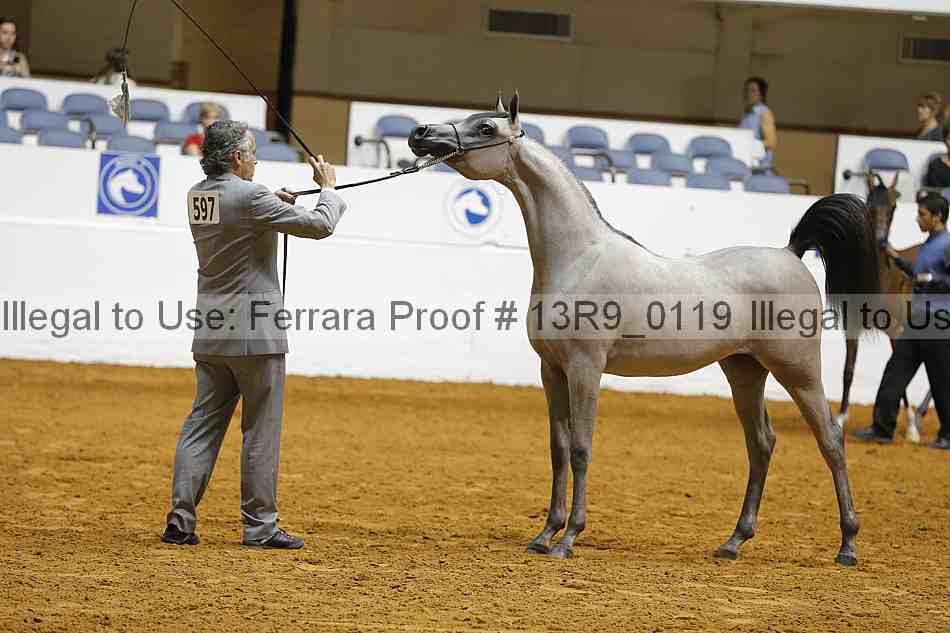 Proof 13r9_0119
