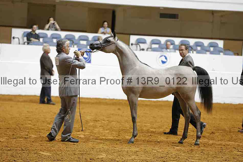 Proof 13r9_0122