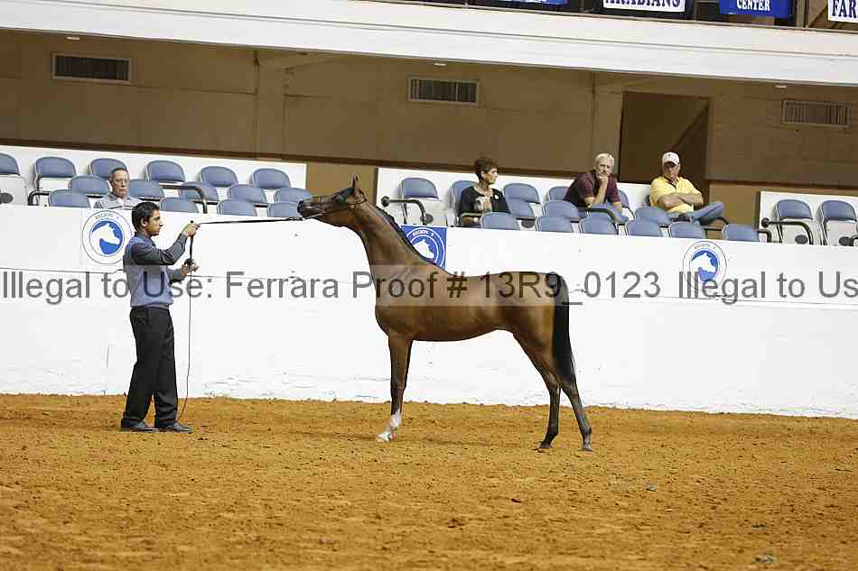 Proof 13r9_0123