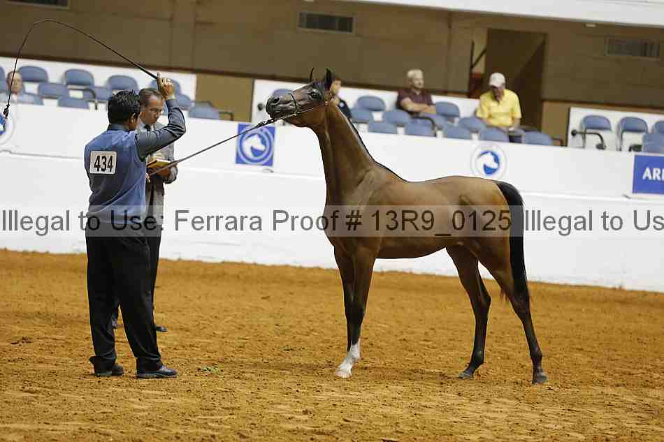Proof 13r9_0125