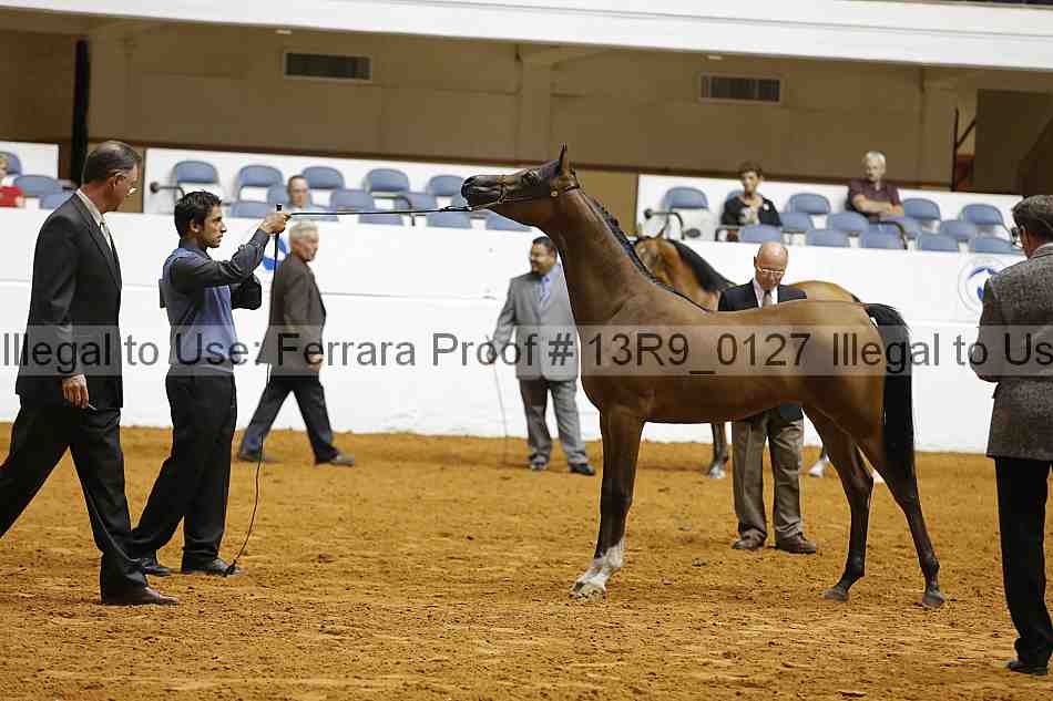 Proof 13r9_0127