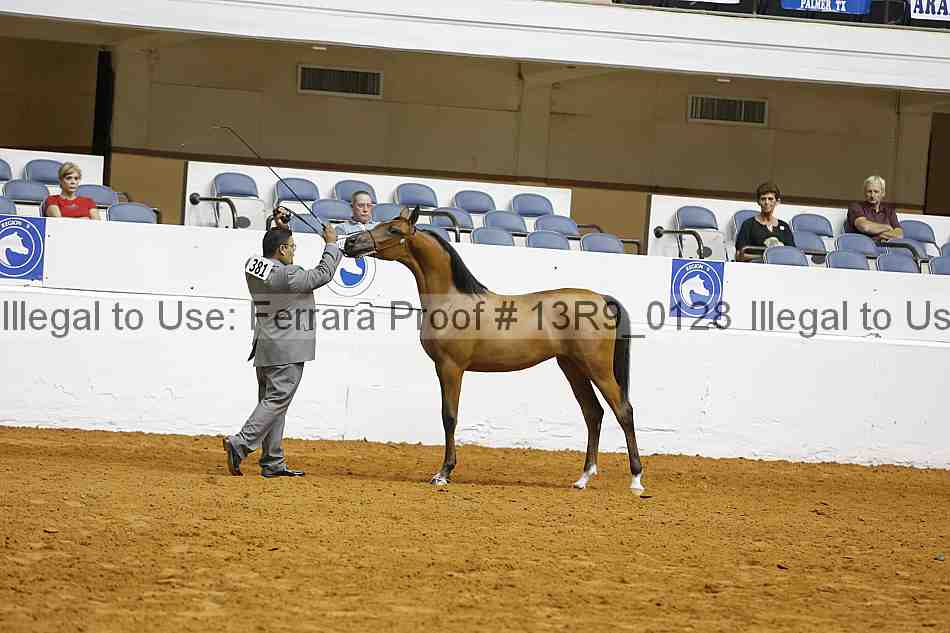 Proof 13r9_0128