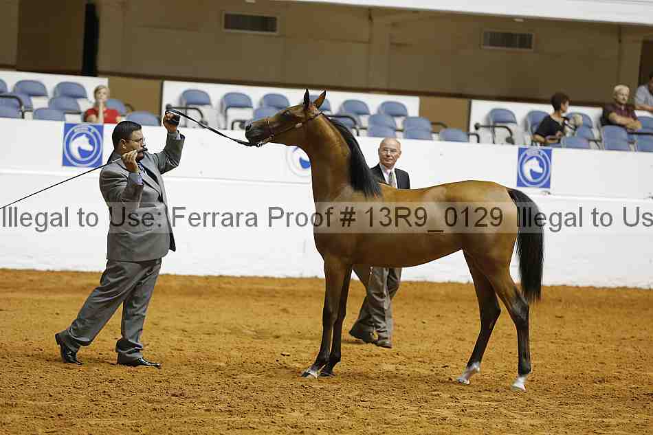 Proof 13r9_0129