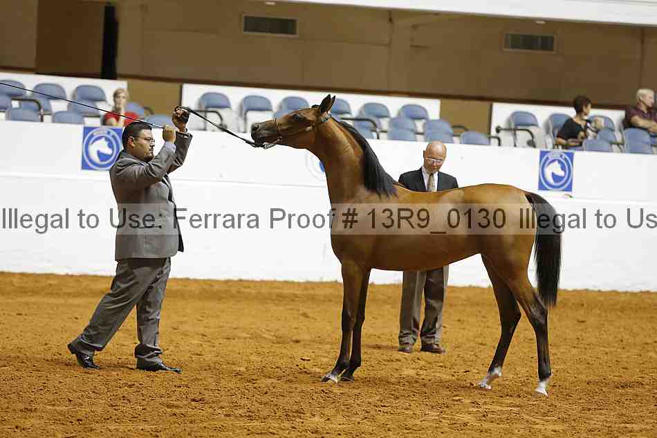 Proof 13r9_0130