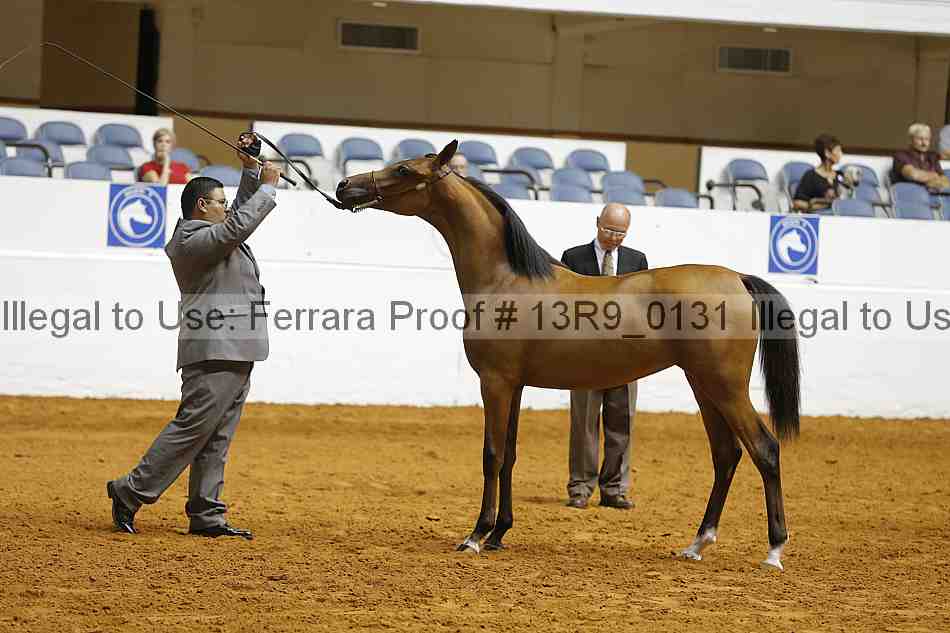 Proof 13r9_0131