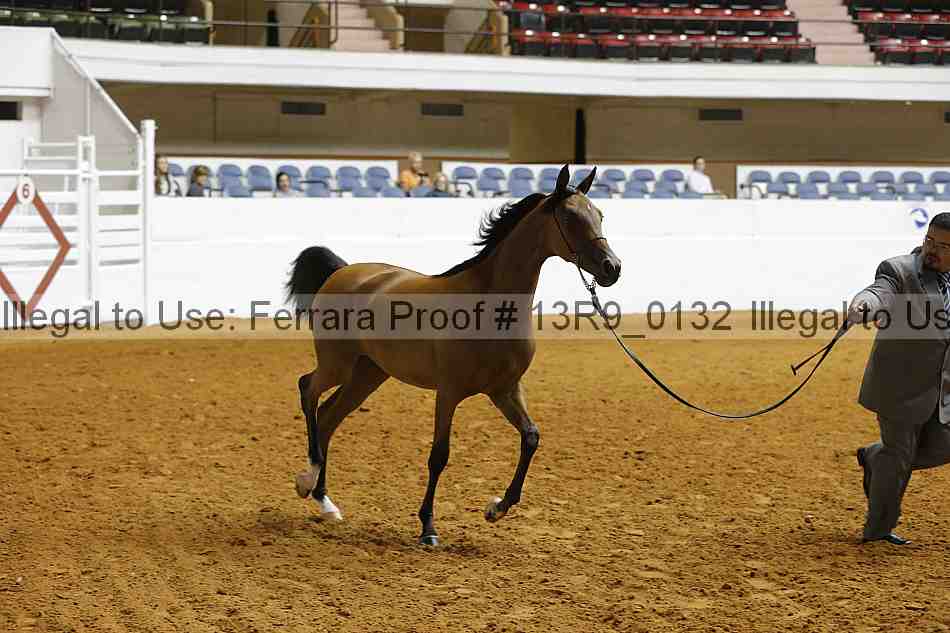 Proof 13r9_0132