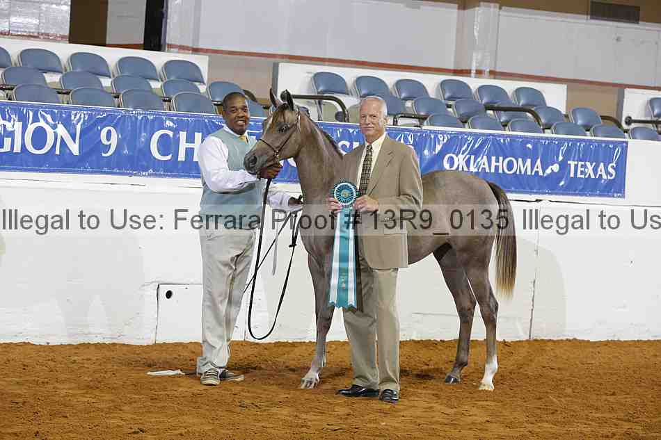 Proof 13r9_0135