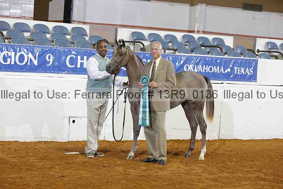 Proof 13r9_0136