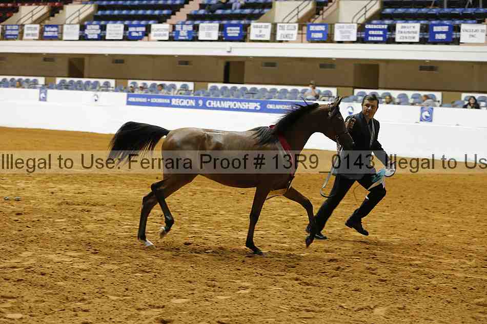 Proof 13r9_0143