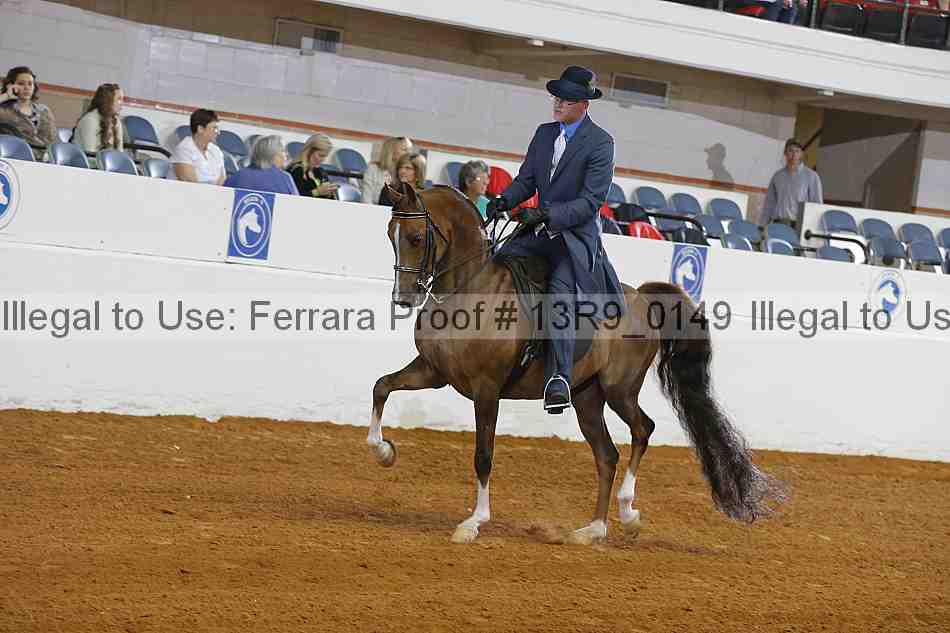 Proof 13r9_0149