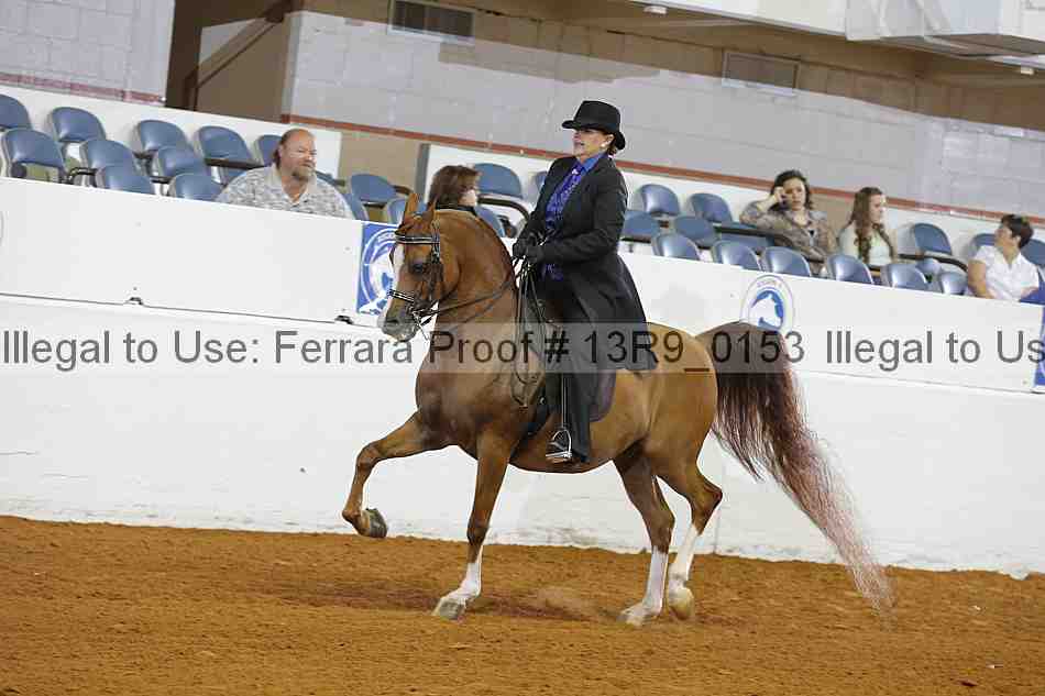 Proof 13r9_0153
