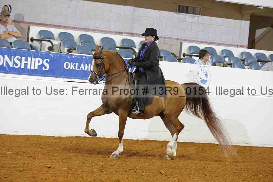 Proof 13r9_0154