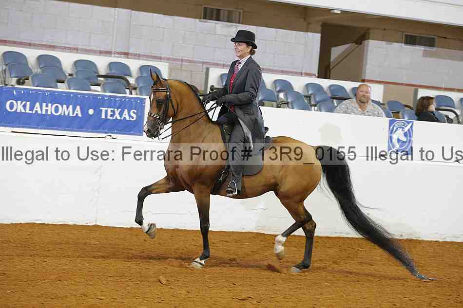 Proof 13r9_0155